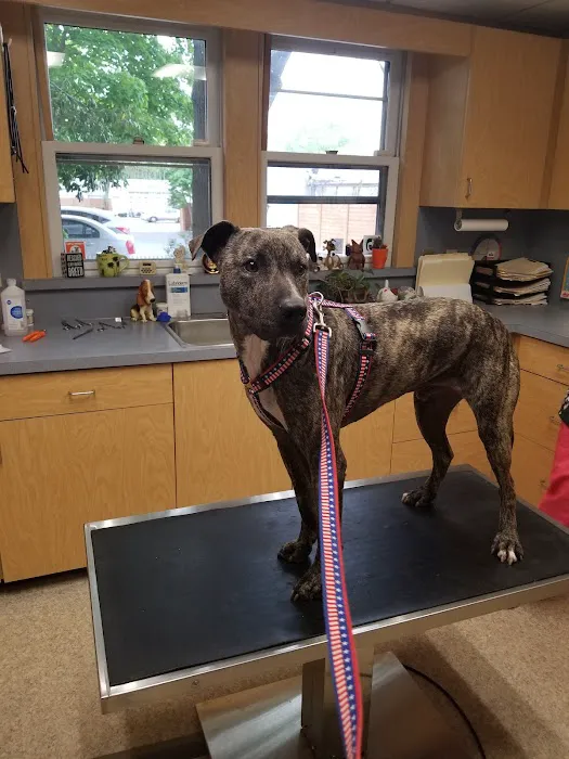 Patchogue Animal Hospital Picture 9