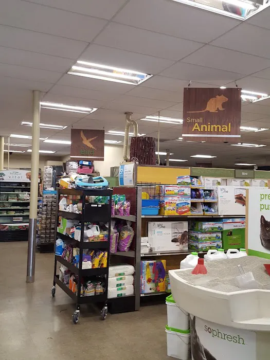 Petco Picture 9