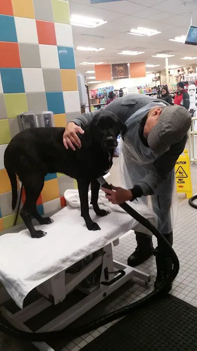 Petco Picture 4