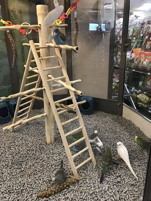 Petco Picture 2