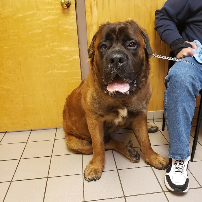VCA Farmingville Animal Hospital Picture 2