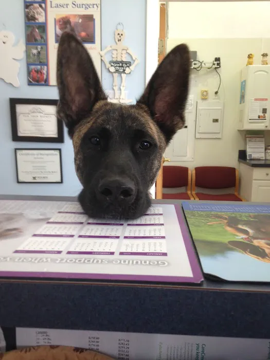 Suffolk Veterinary Group Animal Wellness & Laser Surgery Center Picture 7