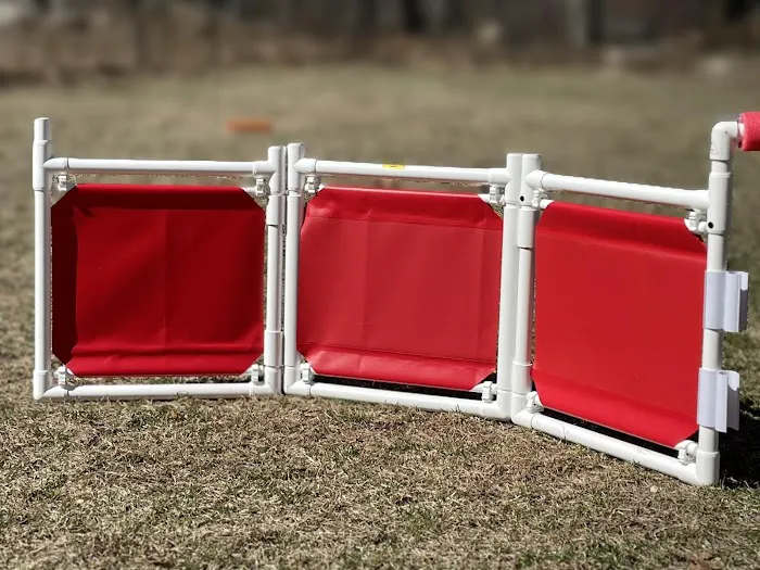 Dog Agility Innovations Picture 7