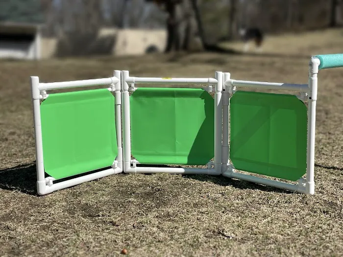 Dog Agility Innovations Picture 4