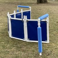 Dog Agility Innovations ico