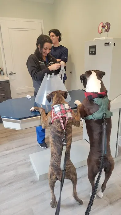 Roslyn Village Veterinarian Picture 1