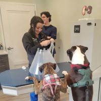 Roslyn Village Veterinarian ico