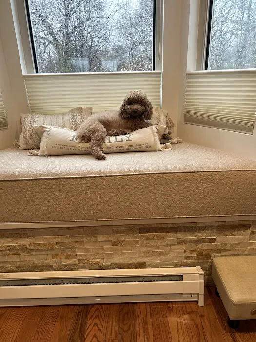 Green Forest Veterinary Hospital of Glen Cove Picture 1