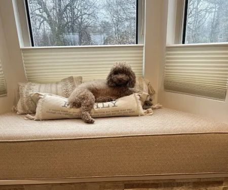 Green Forest Veterinary Hospital of Glen Cove