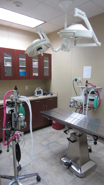 Green Forest Veterinary Hospital of Glen Cove Picture 10
