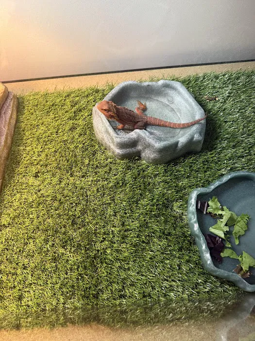 PET ZONE Picture 8