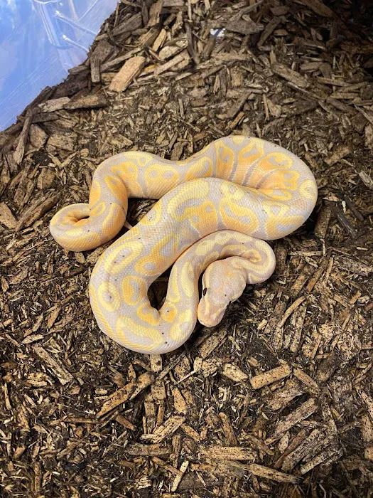 PET ZONE Picture 9
