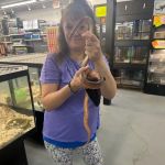 PET ZONE