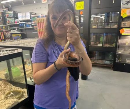 PET ZONE