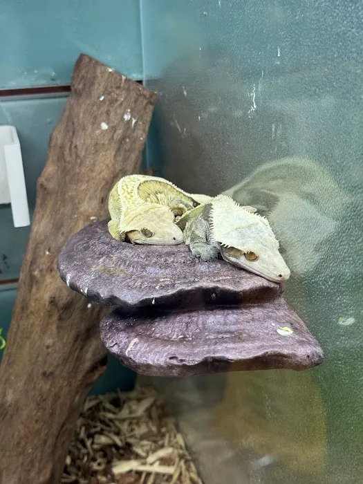 PET ZONE Picture 4