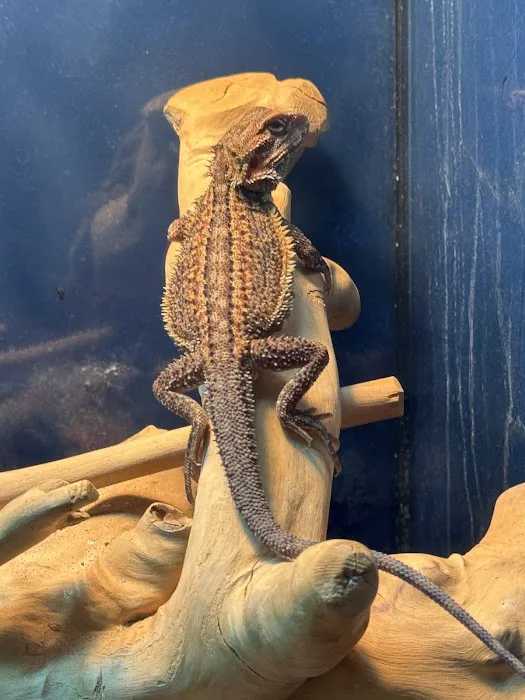 PET ZONE Picture 10