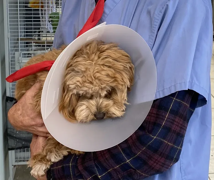 Glen Cove Animal Clinic Picture 7