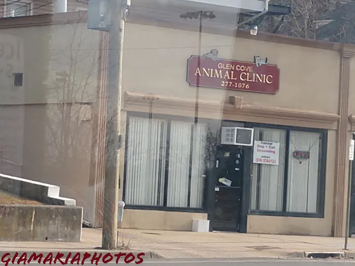 Glen Cove Animal Clinic Picture 9