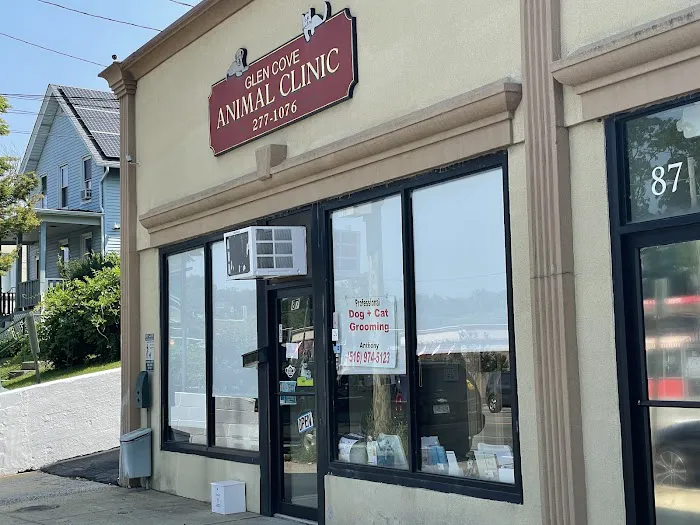 Glen Cove Animal Clinic Picture 8