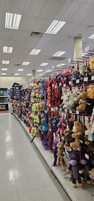Petco Picture 3