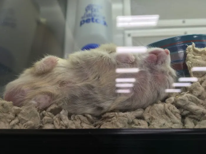Petco Picture 9