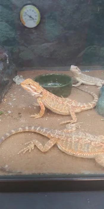 Petco Picture 4