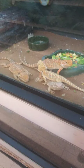 Petco Picture 2