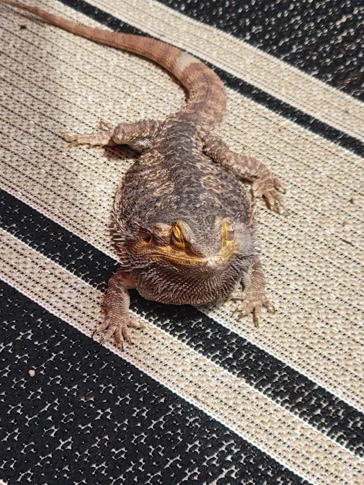Petco Picture 10