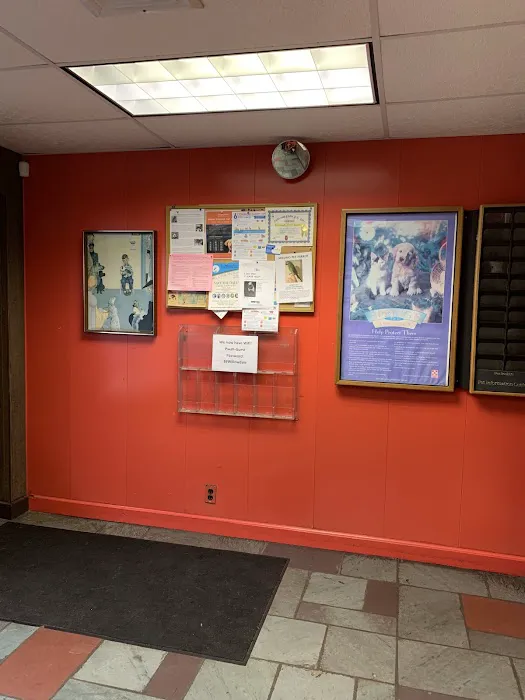 Port Washington Animal Hospital Picture 6