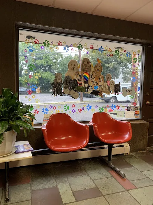Port Washington Animal Hospital Picture 10