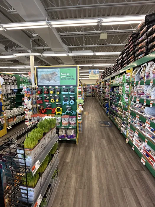 Pet Supplies Plus Bristol Picture 5