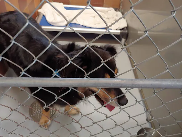 Pet Health Centers at North Shore Animal League America Picture 4