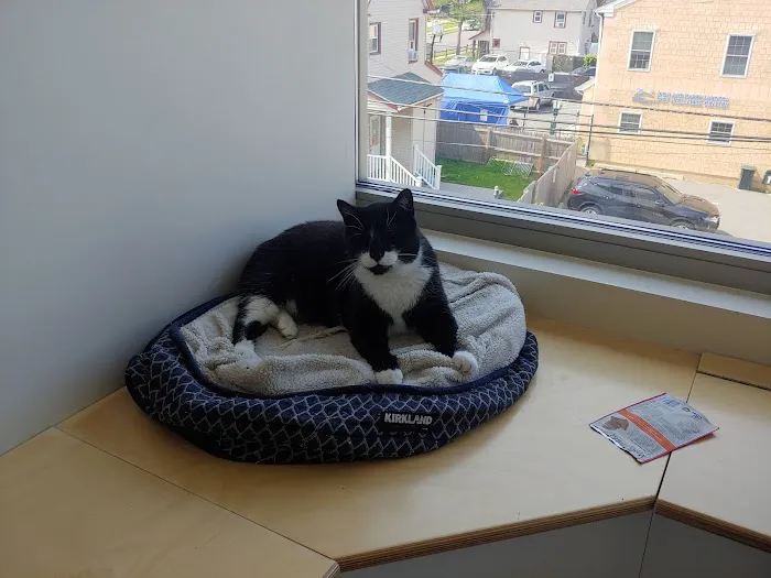 Pet Health Centers at North Shore Animal League America Picture 2