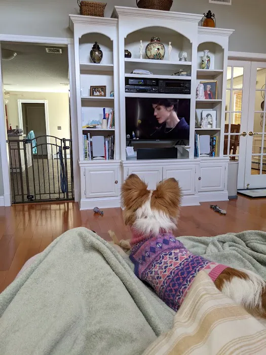 ALL PETS CLUB Picture 3