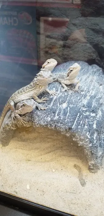 Petco Picture 1