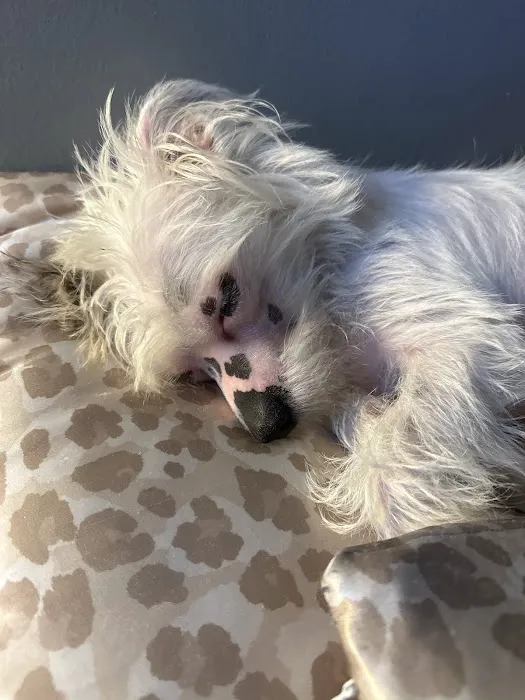 Petco Picture 2