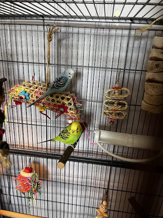 Petco Picture 9