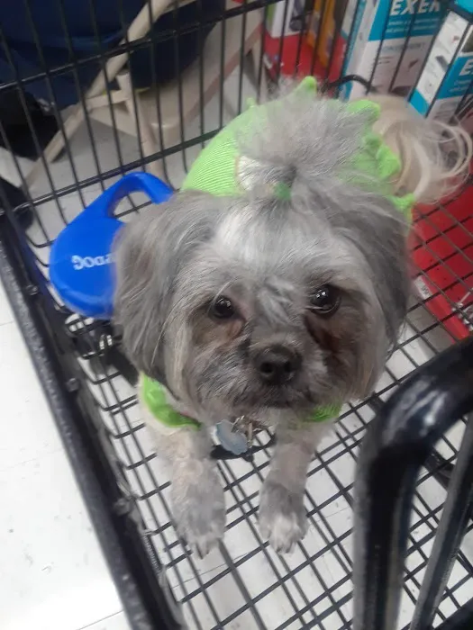 Petco Picture 10