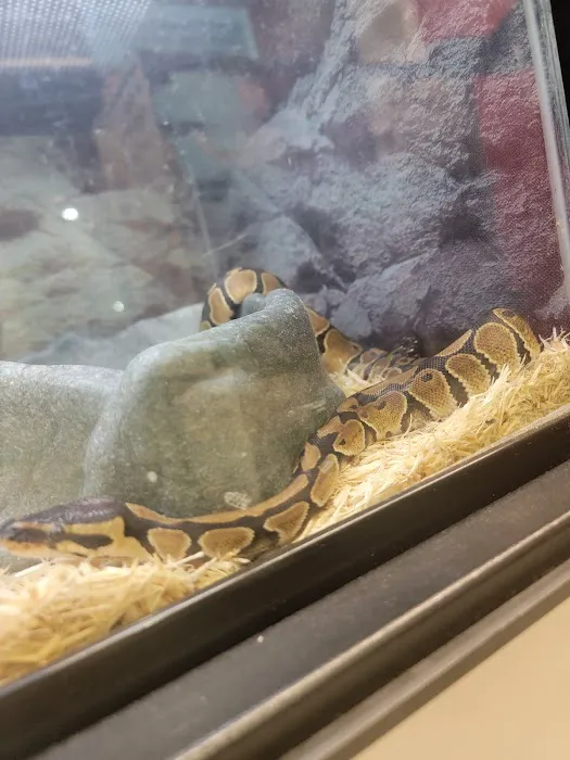 Petco Picture 6