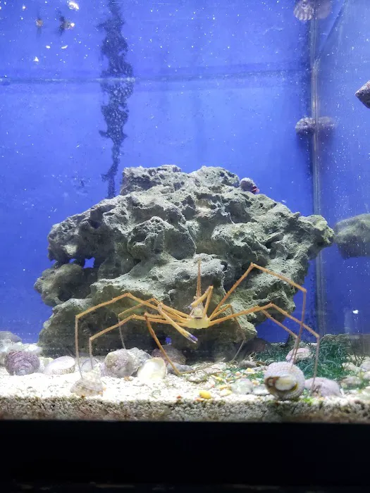 Blakes Aqua Den LLC Picture 9