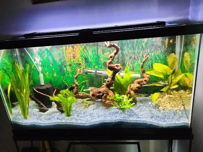 Blakes Aqua Den LLC Picture 8