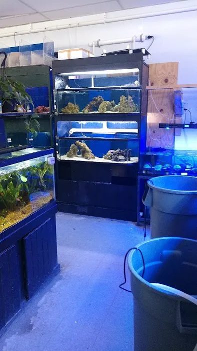 Blakes Aqua Den LLC Picture 10