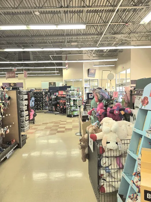 Petco Picture 8