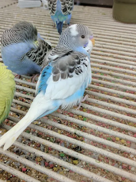 Petco Picture 2