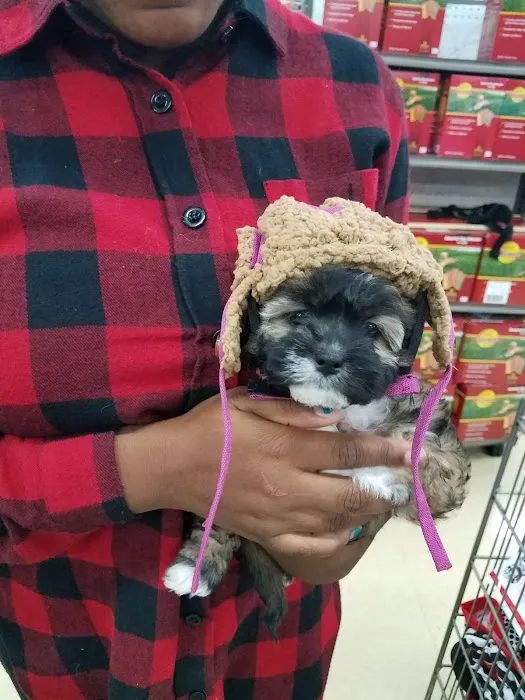 Petco Picture 10