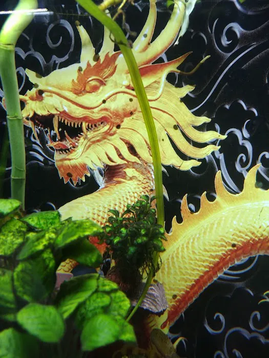 Precise Aquatic Designs Picture 2
