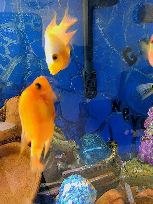 Precise Aquatic Designs Picture 3