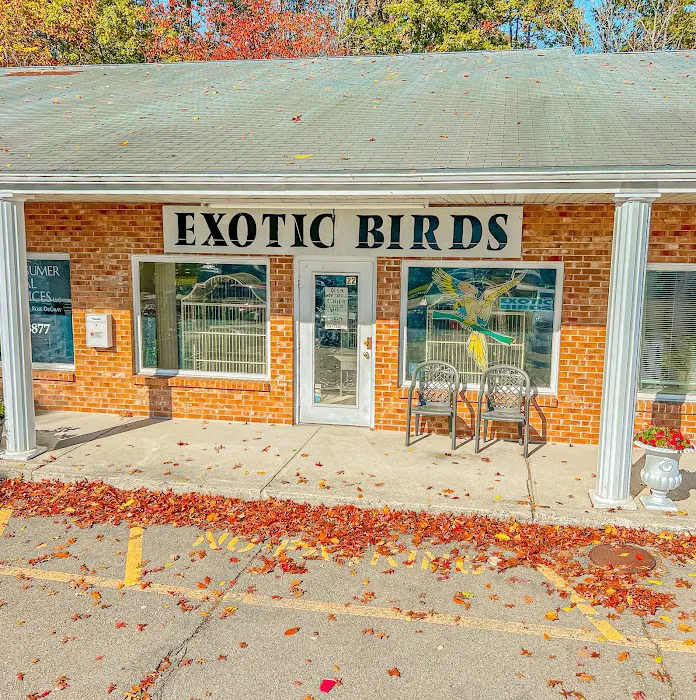 Exotic Birds By Windsong Picture 1