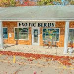 Exotic Birds By Windsong