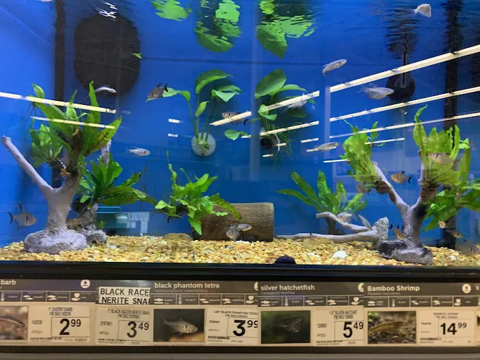 Petco Picture 2